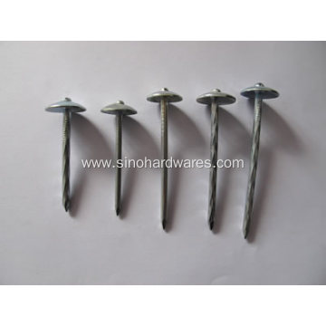 BWG9x2.5 inch Galvanized Roofing Nail